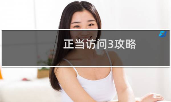 正当访问3攻略