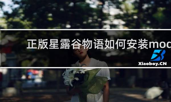 正版星露谷物语如何安装mod