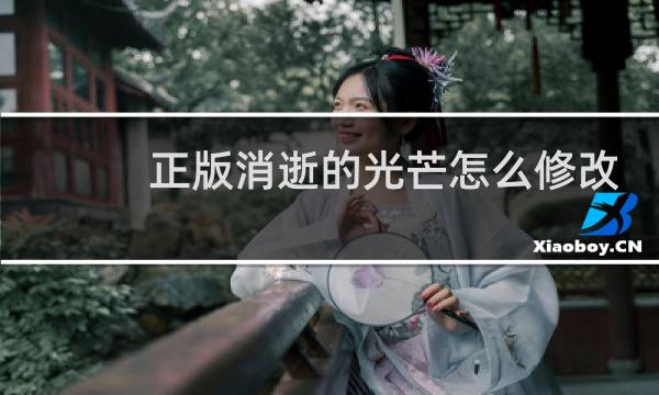 正版消逝的光芒怎么修改