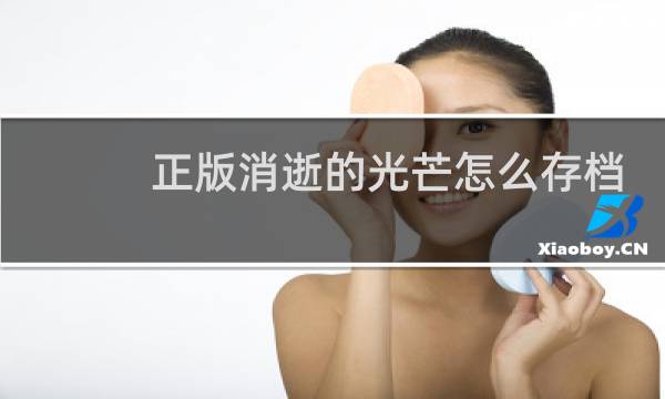 正版消逝的光芒怎么存档