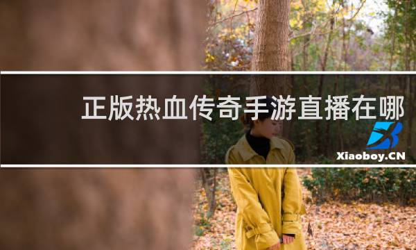 正版热血传奇手游直播在哪