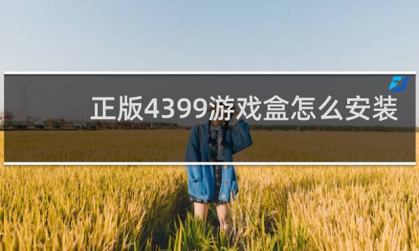 正版4399游戏盒怎么安装