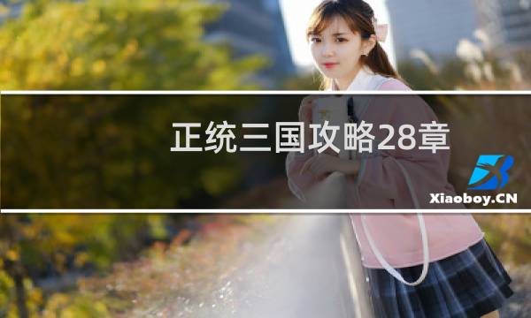 正统三国攻略28章
