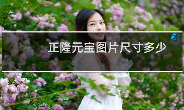 正隆元宝图片尺寸多少