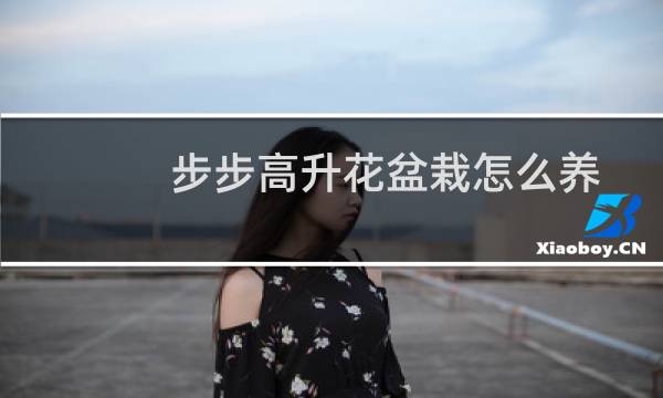 步步高升花盆栽怎么养