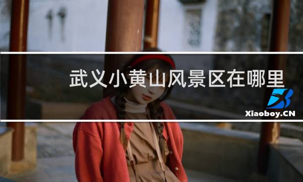 武义小黄山风景区在哪里