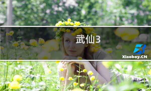 武仙3.2攻略