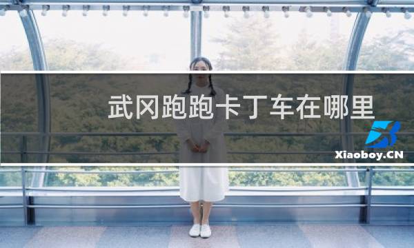 武冈跑跑卡丁车在哪里
