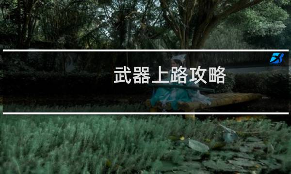 武器上路攻略