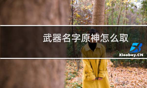 武器名字原神怎么取