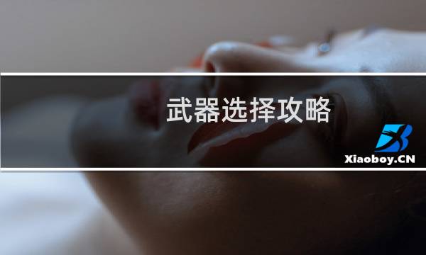 武器选择攻略