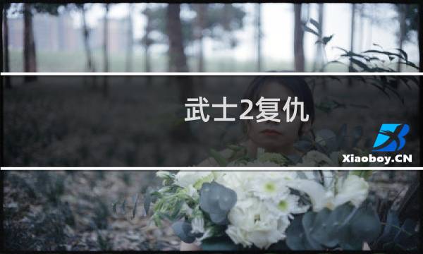 武士2复仇 攻略