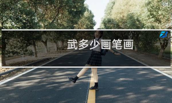 武多少画笔画