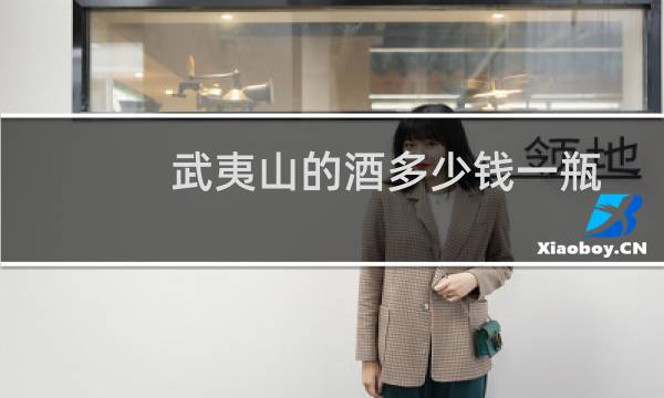 武夷山的酒多少钱一瓶