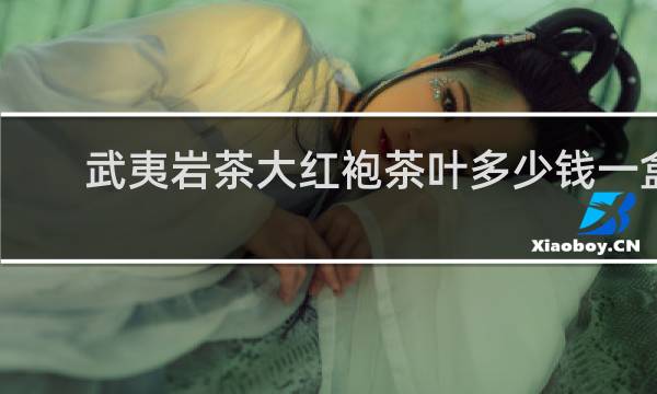 武夷岩茶大红袍茶叶多少钱一盒