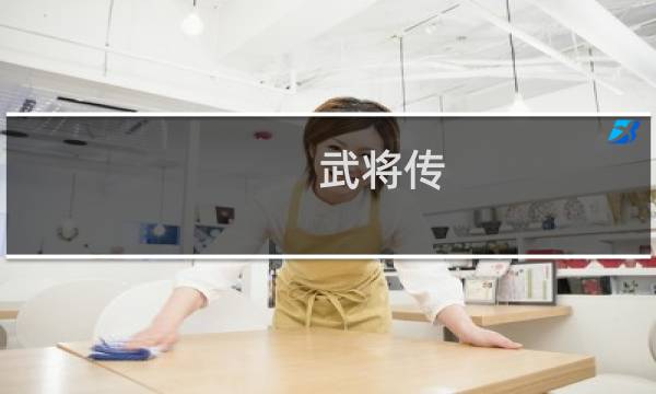 武将传 攻略
