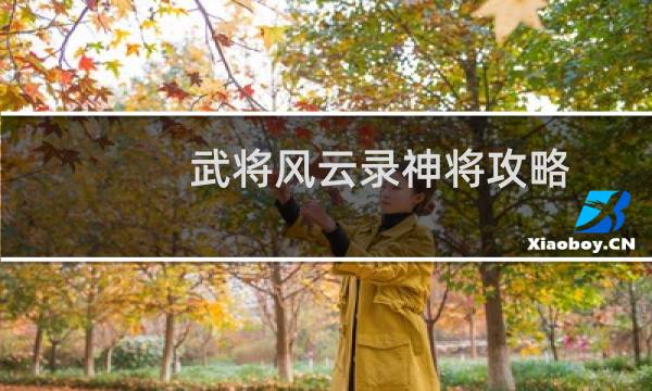 武将风云录神将攻略