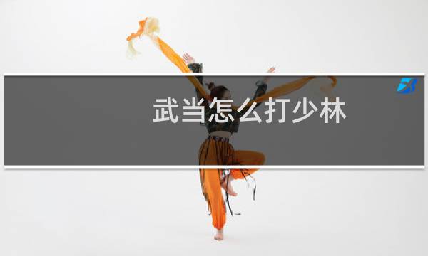 武当怎么打少林