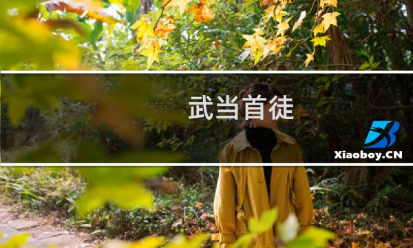 武当首徒 攻略