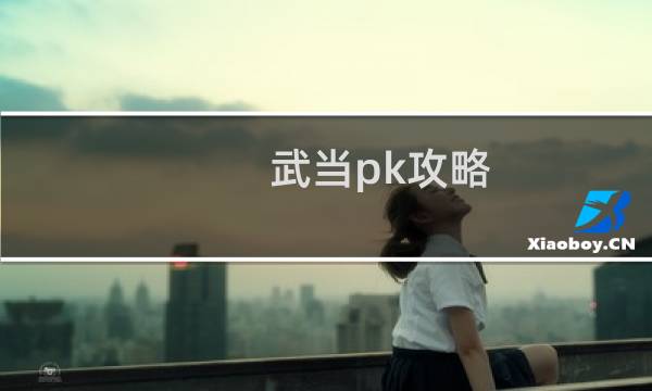 武当pk攻略