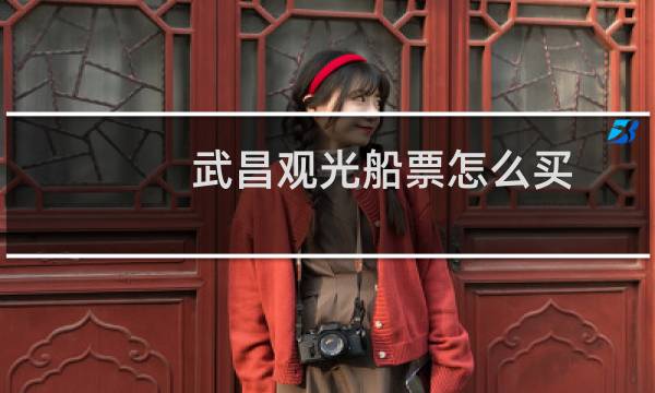 武昌观光船票怎么买