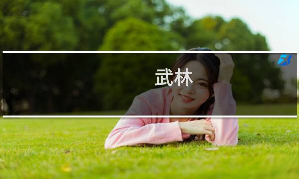 武林 表妹攻略