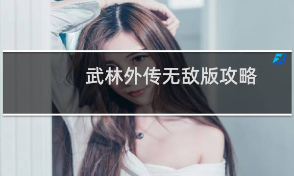 武林外传无敌版攻略