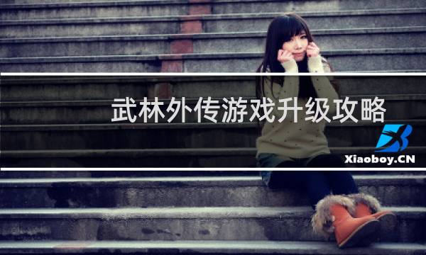 武林外传游戏升级攻略