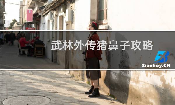 武林外传猪鼻子攻略