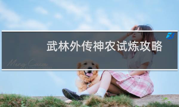 武林外传神农试炼攻略