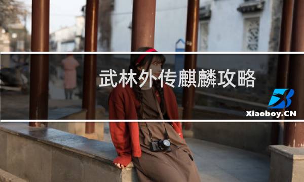 武林外传麒麟攻略