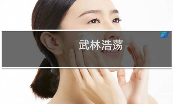 武林浩荡 攻略