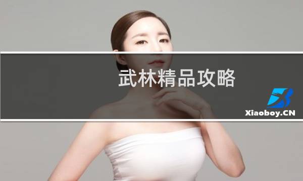 武林精品攻略