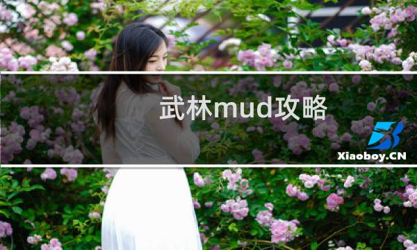 武林mud攻略