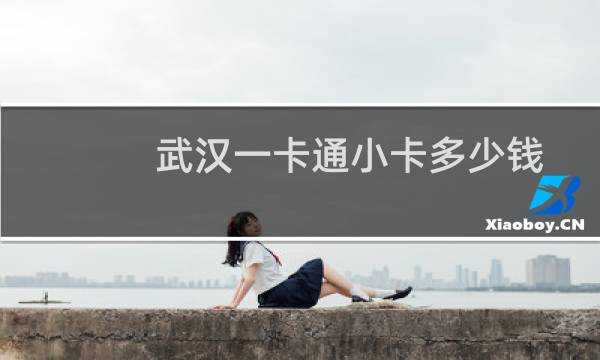 武汉一卡通小卡多少钱