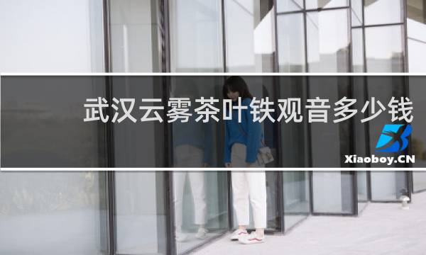 武汉云雾茶叶铁观音多少钱