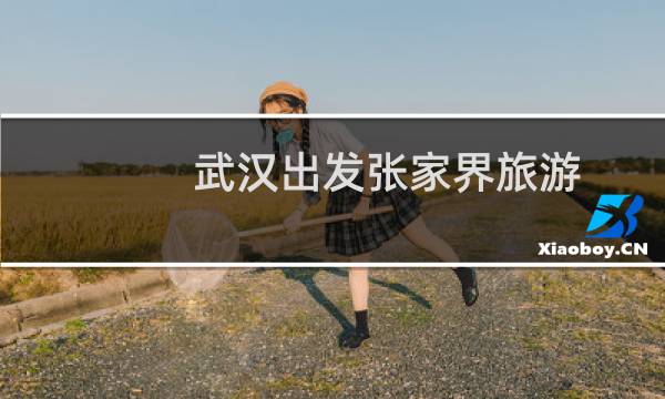 武汉出发张家界旅游