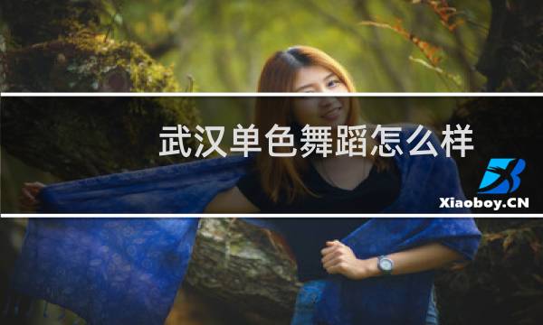 武汉单色舞蹈怎么样