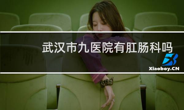 武汉市九医院有肛肠科吗