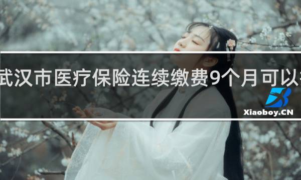 武汉市医疗保险连续缴费9个月可以报销么