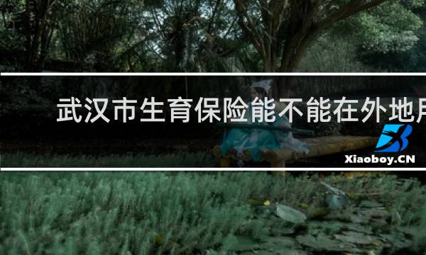 武汉市生育保险能不能在外地用