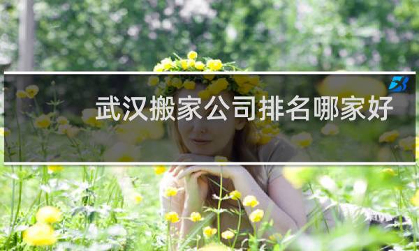 武汉搬家公司排名哪家好