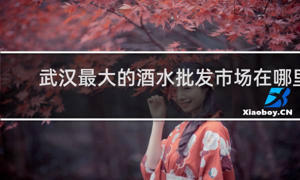 武汉最大的酒水批发市场在哪里
