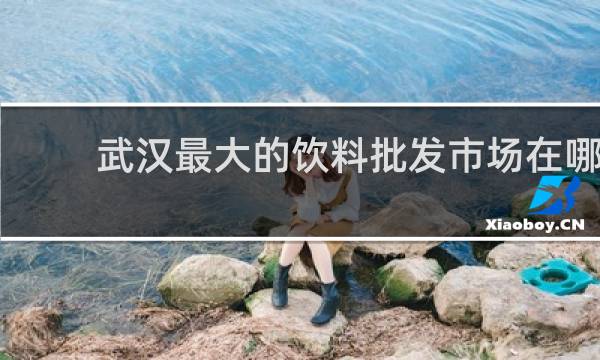 武汉最大的饮料批发市场在哪