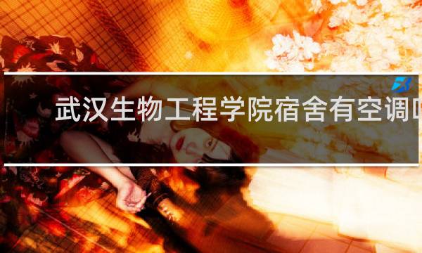 武汉生物工程学院宿舍有空调吗