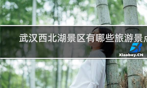 武漢西北湖景區(qū)有哪些旅游景點