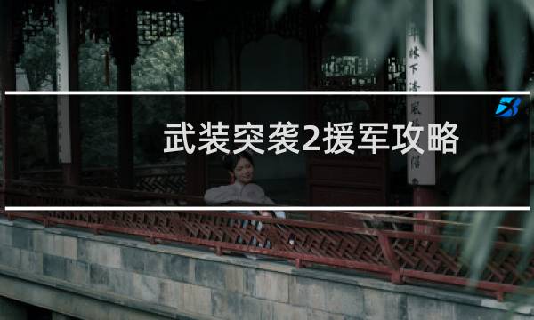 武装突袭2援军攻略