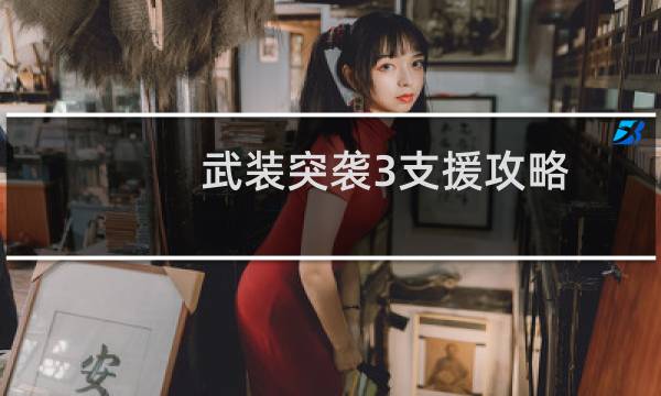 武装突袭3支援攻略
