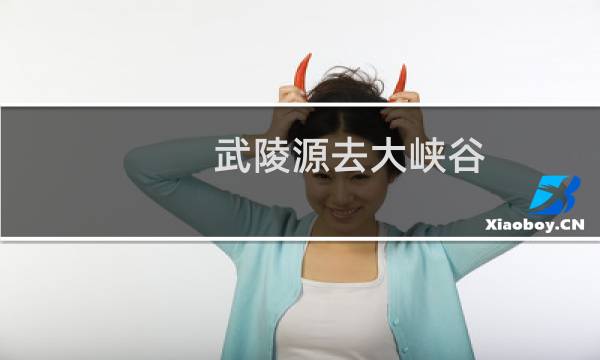 武陵源去大峽谷