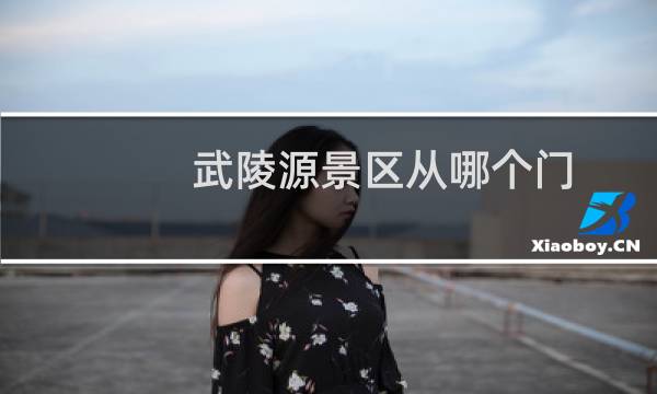 武陵源景区从哪个门